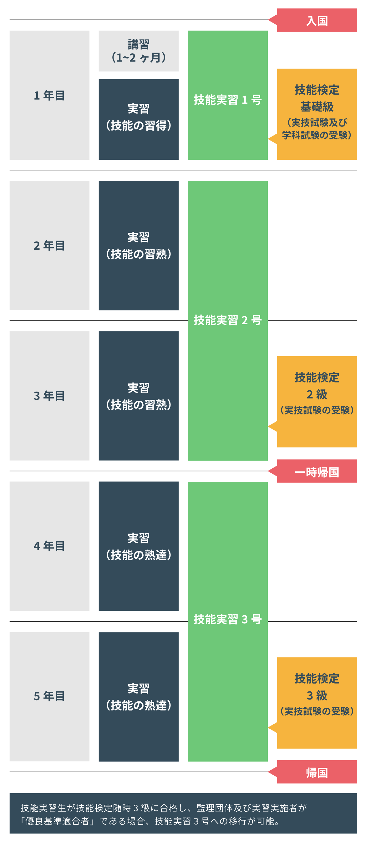 技能実習の期間